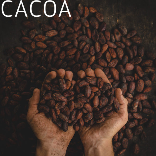Cacao Chocolates / 'May I Be Connected' 150 mg - Image 2