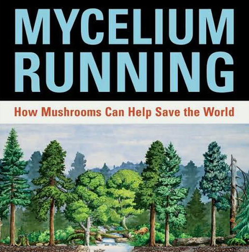 mycelium